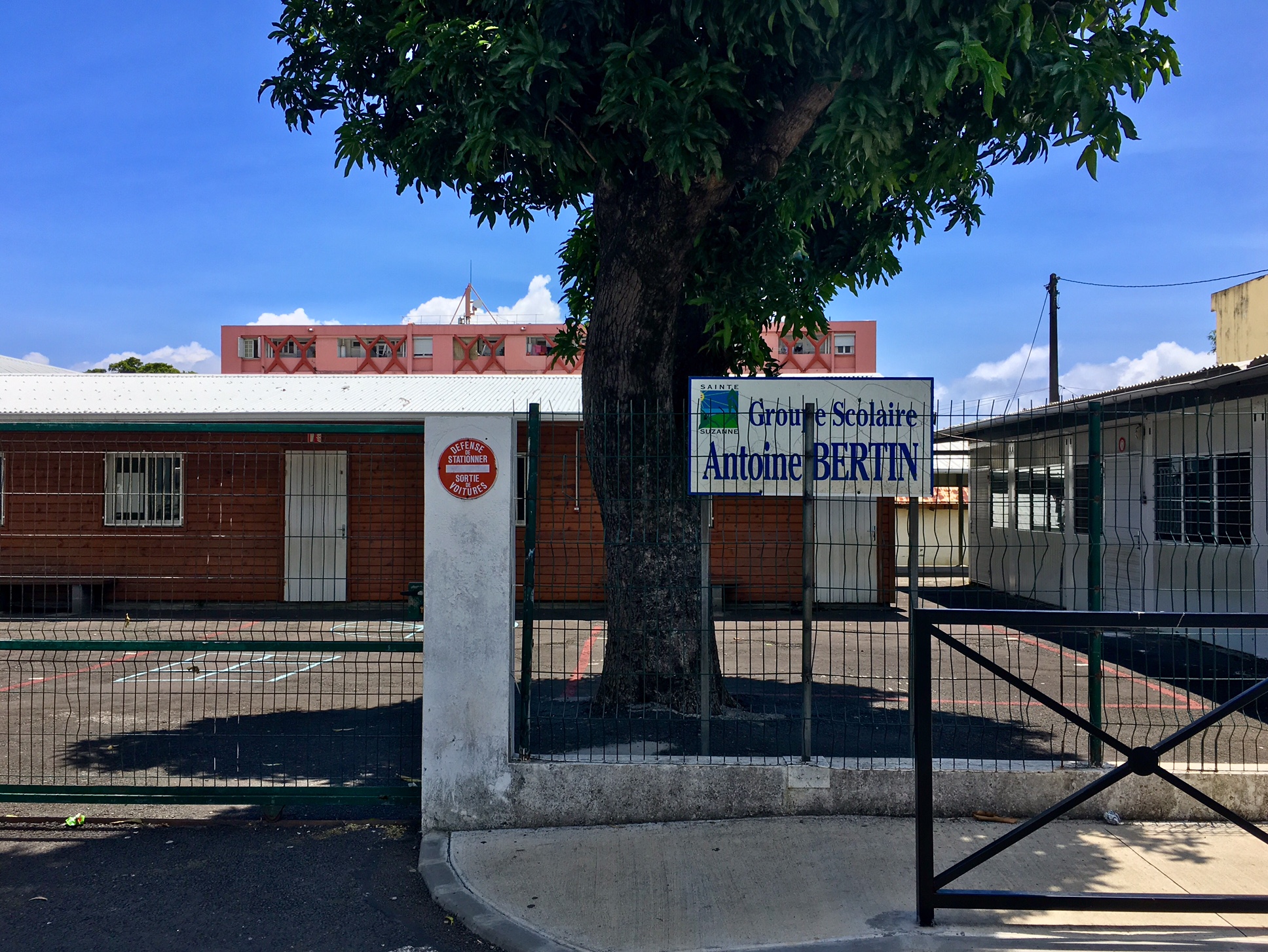 Puces : Deux écoles de Sainte-Suzanne évacuées