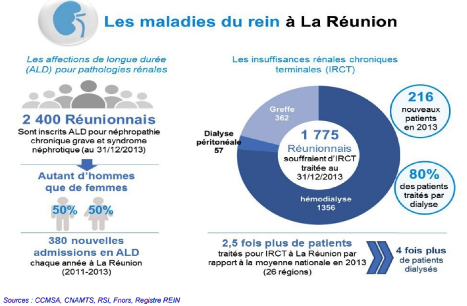 Dialyse et sport sur ordonnance : L’Aurar présente un nouveau programme personnalisé pour les patients