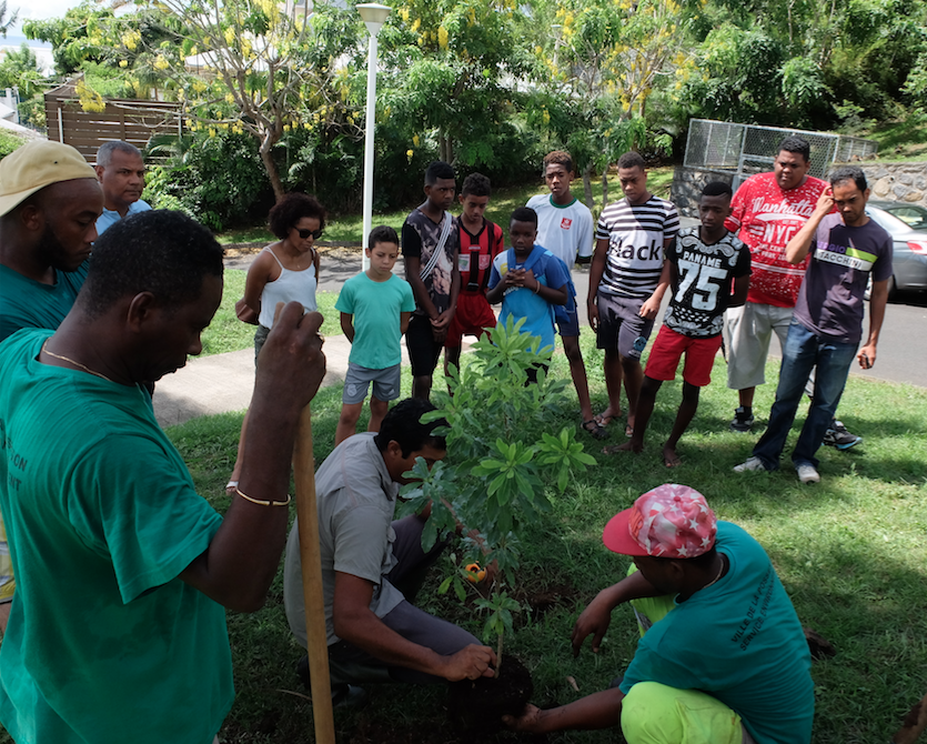 Plantation d’arbres endémiques à la gendarmerie de La Possession