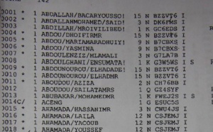 La liste des victimes du crash de l'A310
