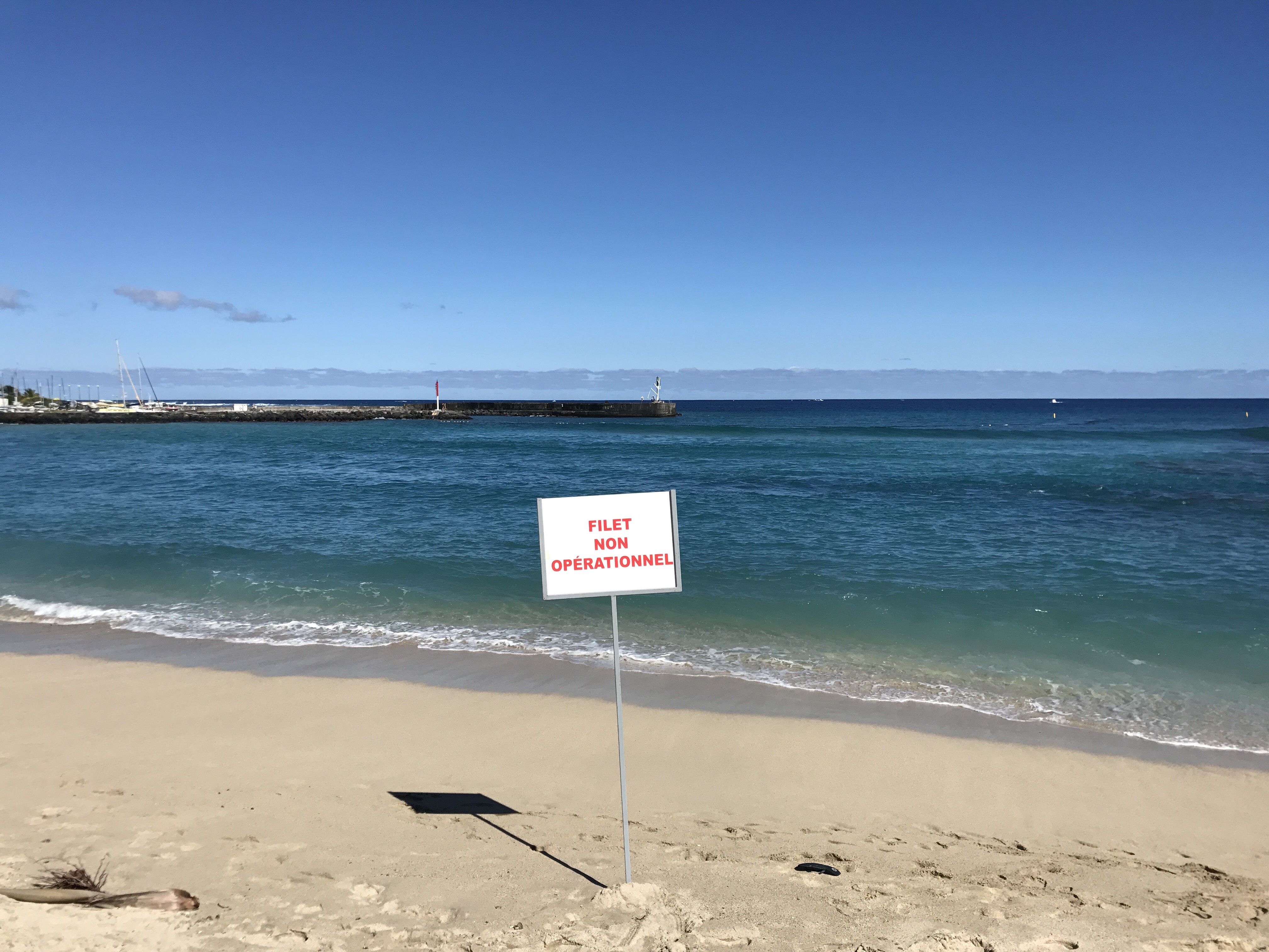 Le requin a chargé deux surfeurs