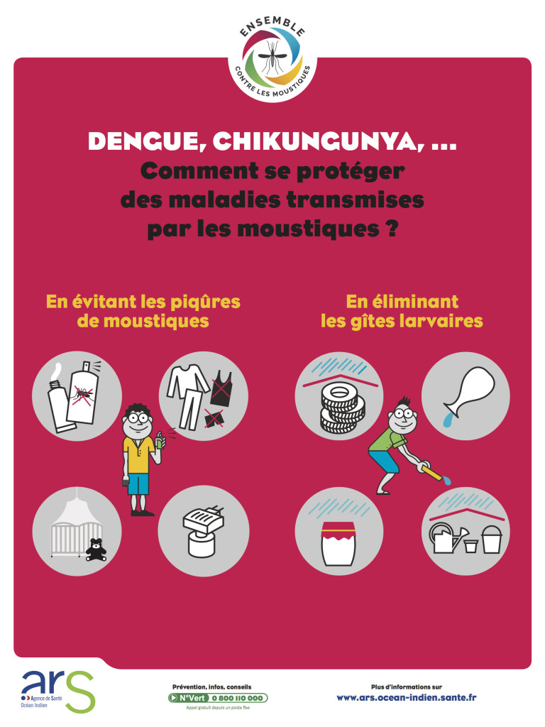 Maladies vectorielles : Quelques consignes pour lutter contre les gîtes larvaires