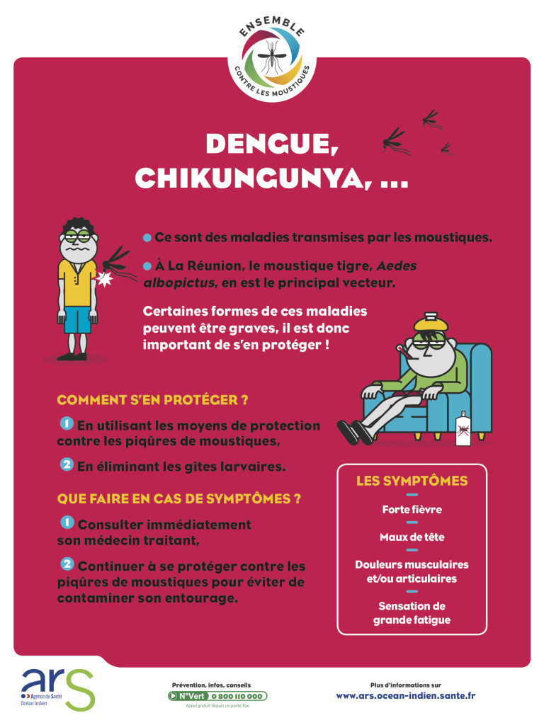 Maladies vectorielles : Quelques consignes pour lutter contre les gîtes larvaires