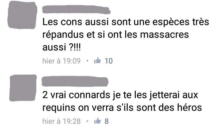 Quand les défenseurs des requins menacent de mort les surfeurs...