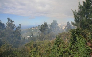 Retour en images sur l'incendie de la Montagne