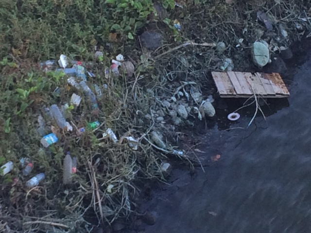 L'embouchure de la ravine du Butor dans un sale état