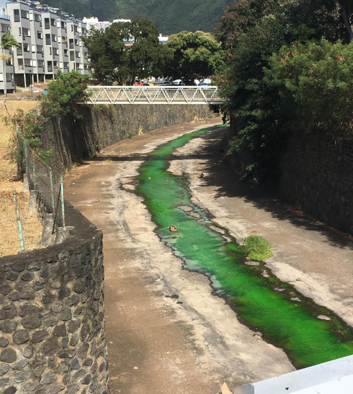 L'embouchure de la ravine du Butor dans un sale état