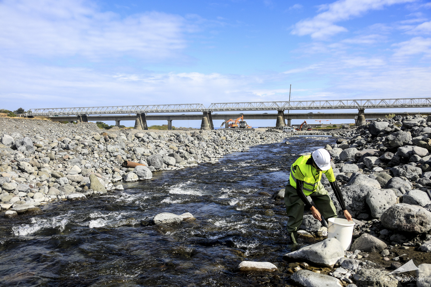 Pont de la Rivière des Galets : sauvegarde de la faune aquatique