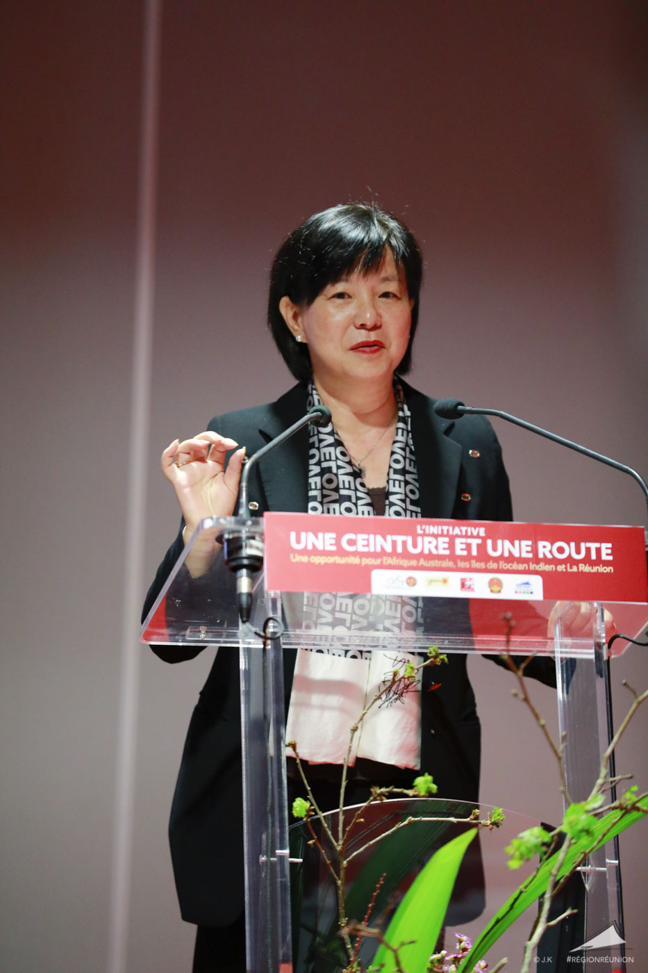 Retour en images sur le Forum Economique Chine Réunion