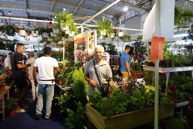 Record d'entrées pour l'édition gratuite de Flore et Halle