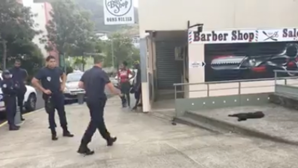 St-Denis : Deux des agresseurs du barbershop interpellés