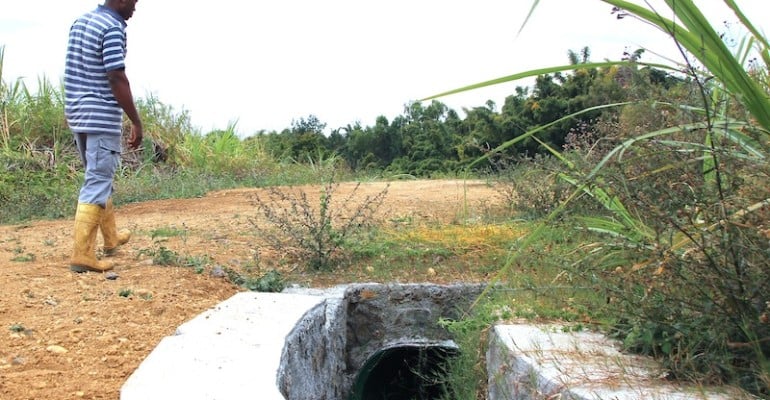Bernica/Tan Rouge : la fin des galères pour les familles d’agriculteurs du chemin Barel