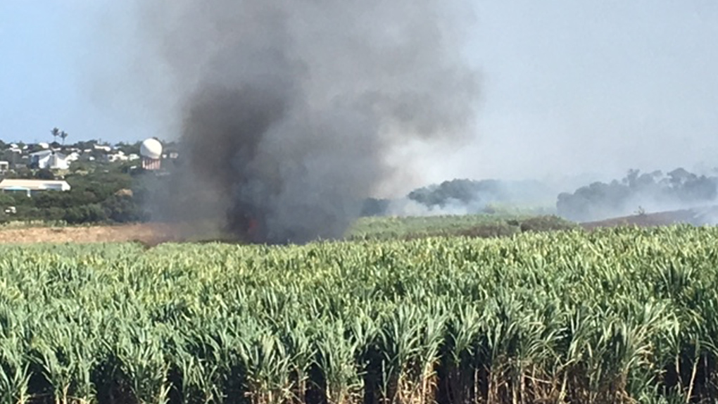 Impressionnant incendie dans un champ de canne à Terre Rouge