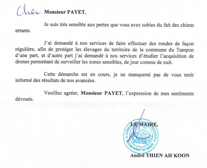 Plaine des Cafres : Un cerf de plus de 120 kg tué par des chiens errants, le 59e en deux mois