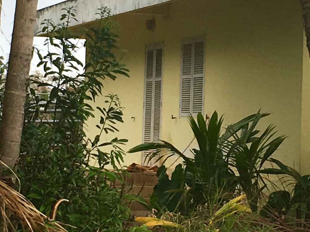 St-André : Les chiens maltraités se sont volatilisés