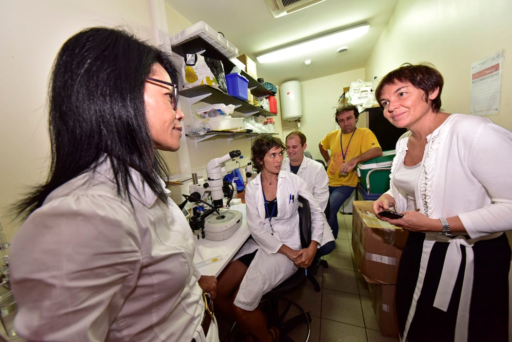 Annick Girardin salue l'excellence réunionnaise de la recherche médicale