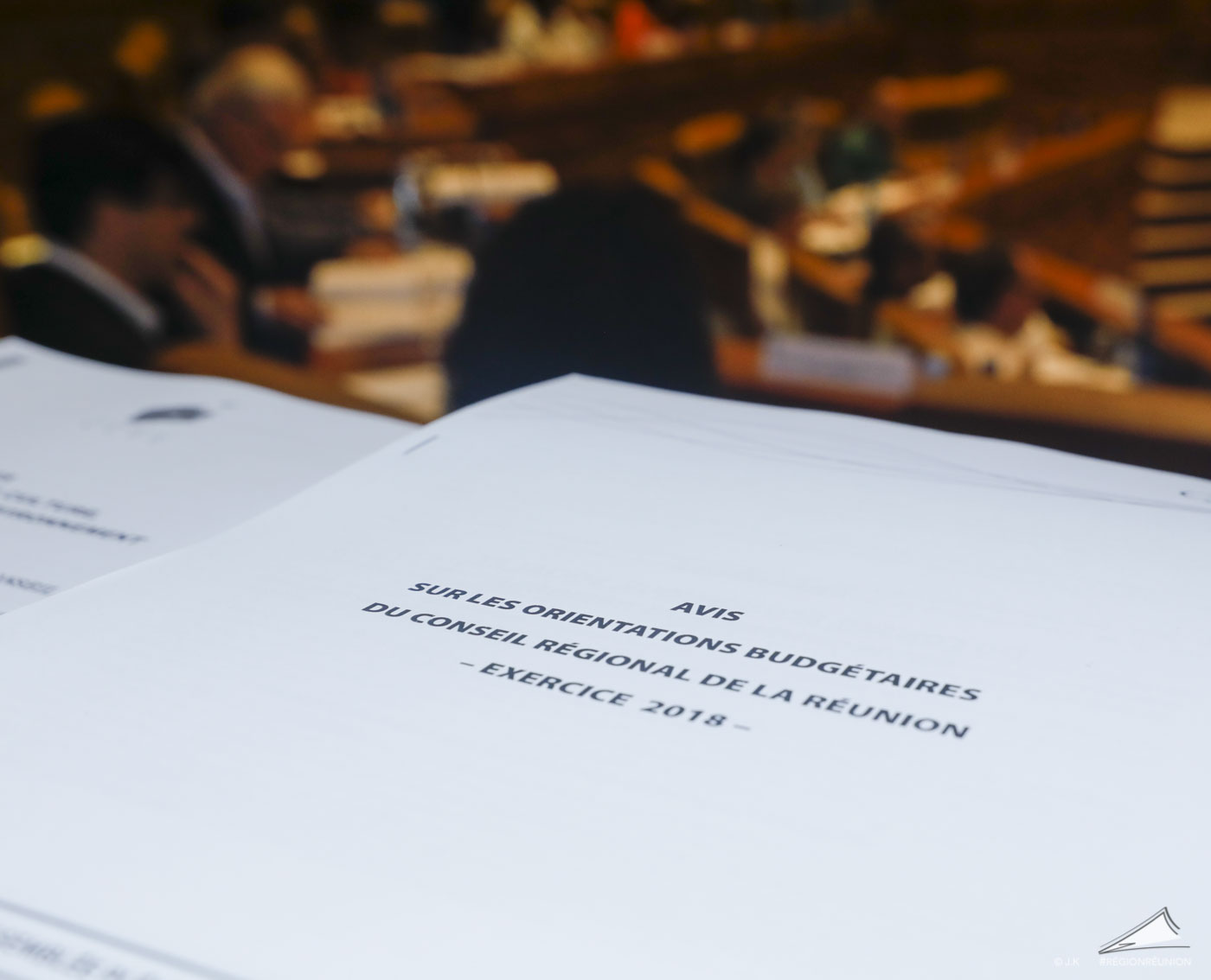Retour en images sur l'assemblée plénière de la Région Réunion