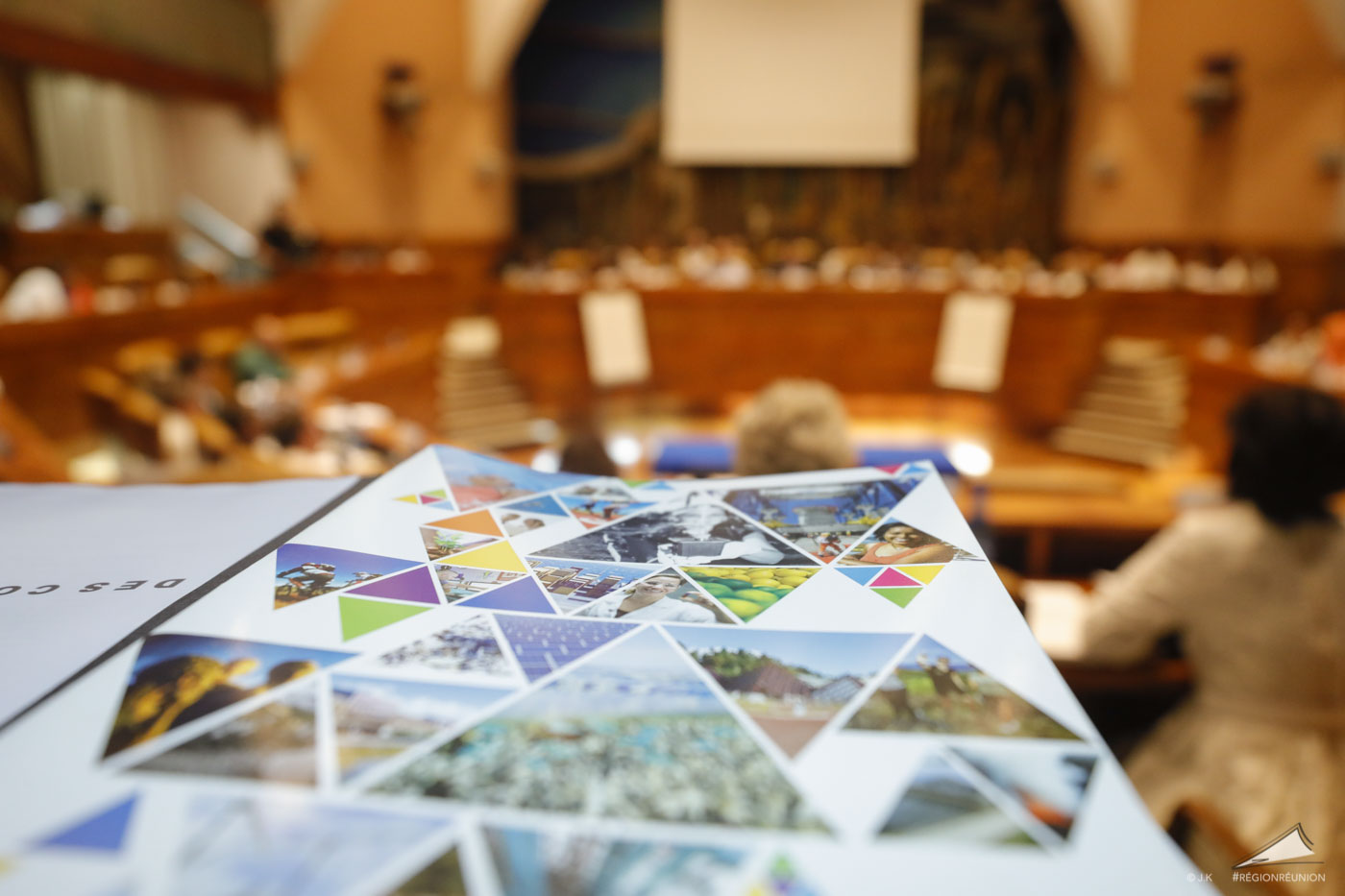 Retour en images sur l'assemblée plénière de la Région Réunion