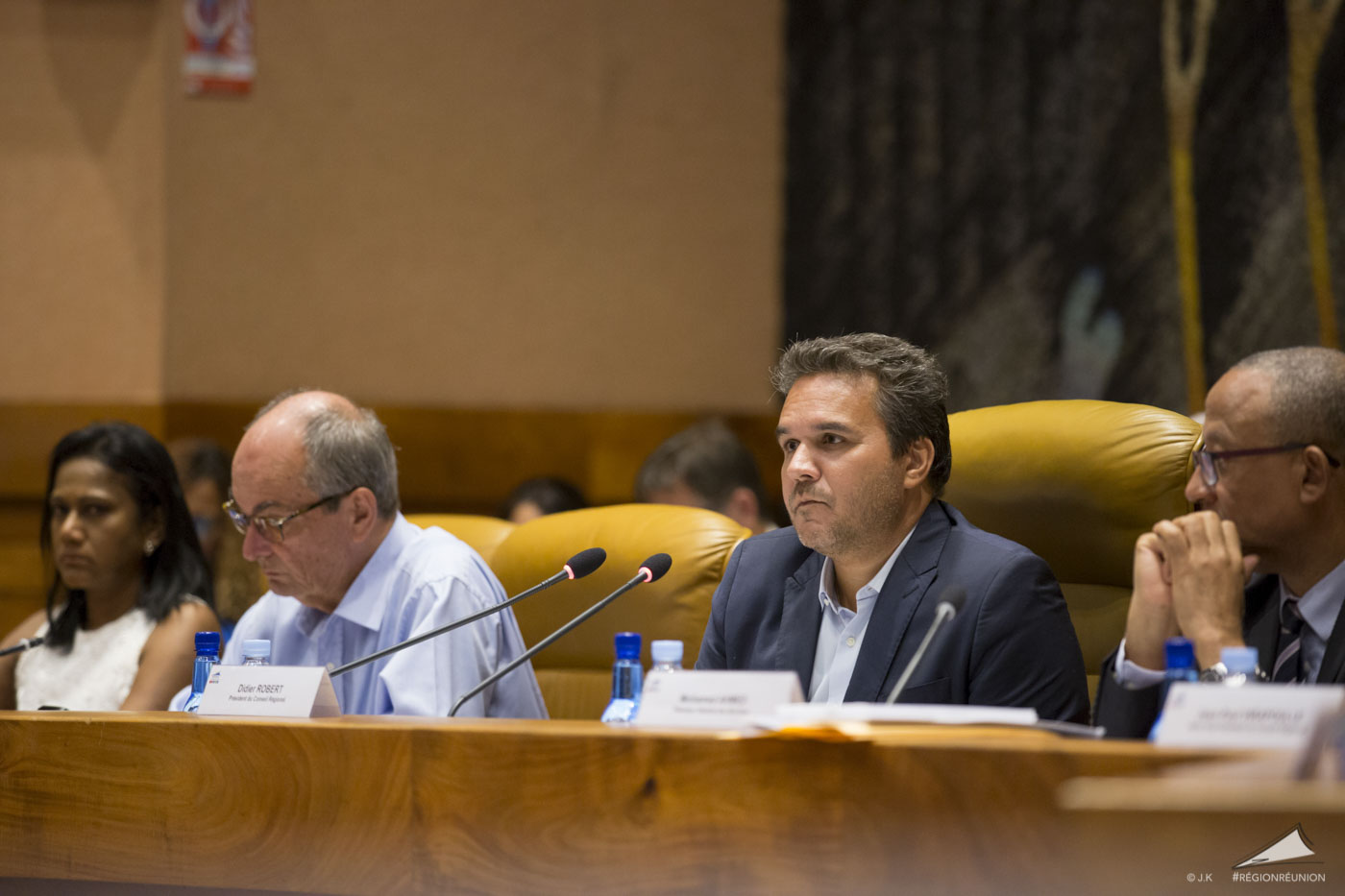 Retour en images sur l'assemblée plénière de la Région Réunion