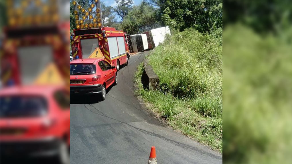 Un camion transportant des cochons se renverse à Salazie