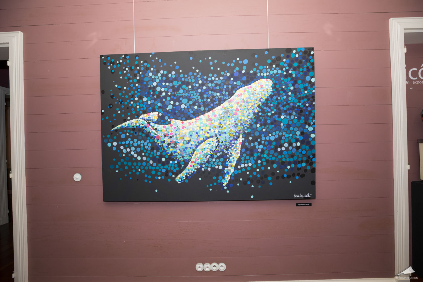 Le vernissage de l'exposition de Lionel Lauret en images