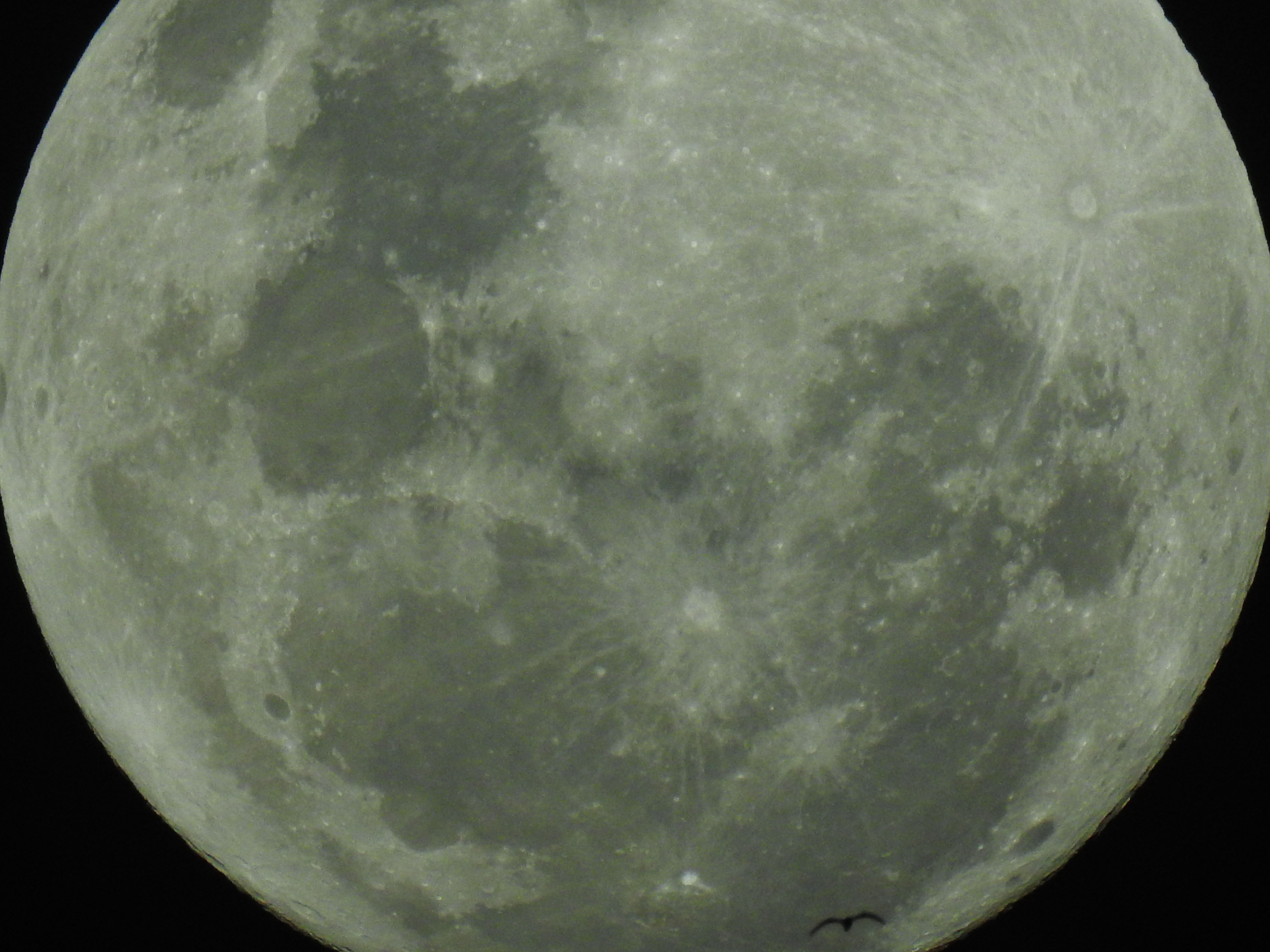 [PHOTOS - VIDEO] La super lune impressionnante