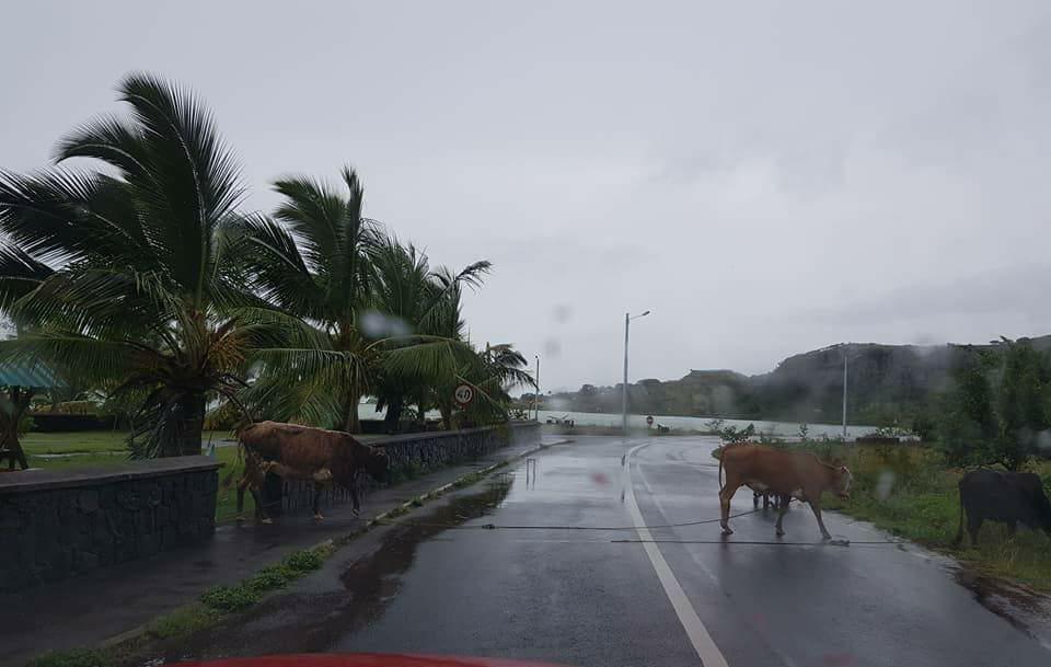Les premières images de Rodrigues après le passage de Berguitta