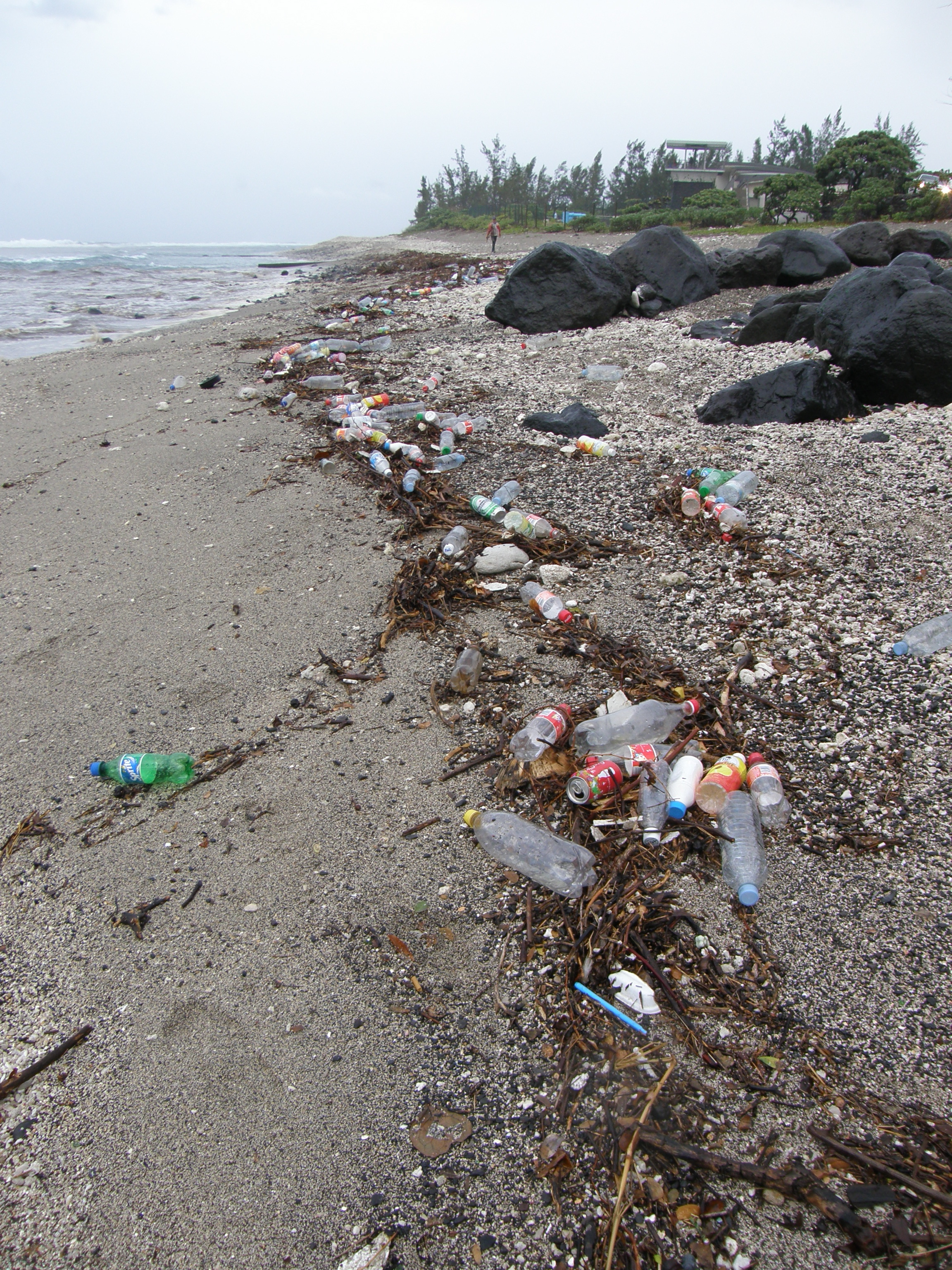 Tortues: Après la pluie, les déchets sur les plages sont un danger