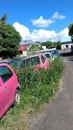 St-Pierre : De quelles protections bénéficie le propriétaire de casse marron ?