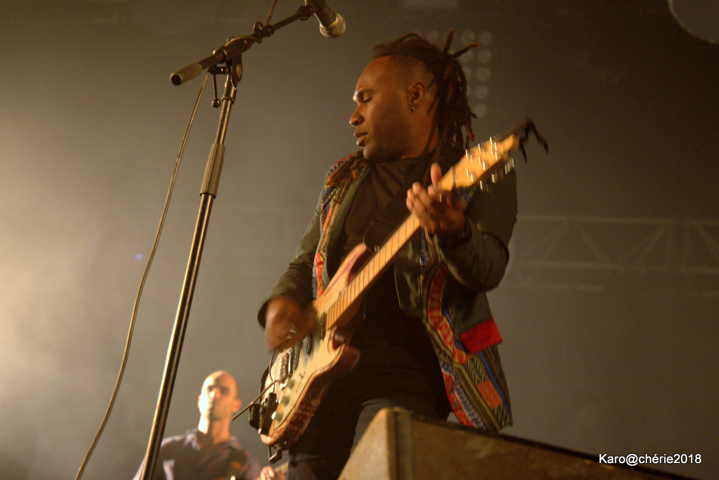[RETOUR IMAGES] En avant Francofolies 2 !