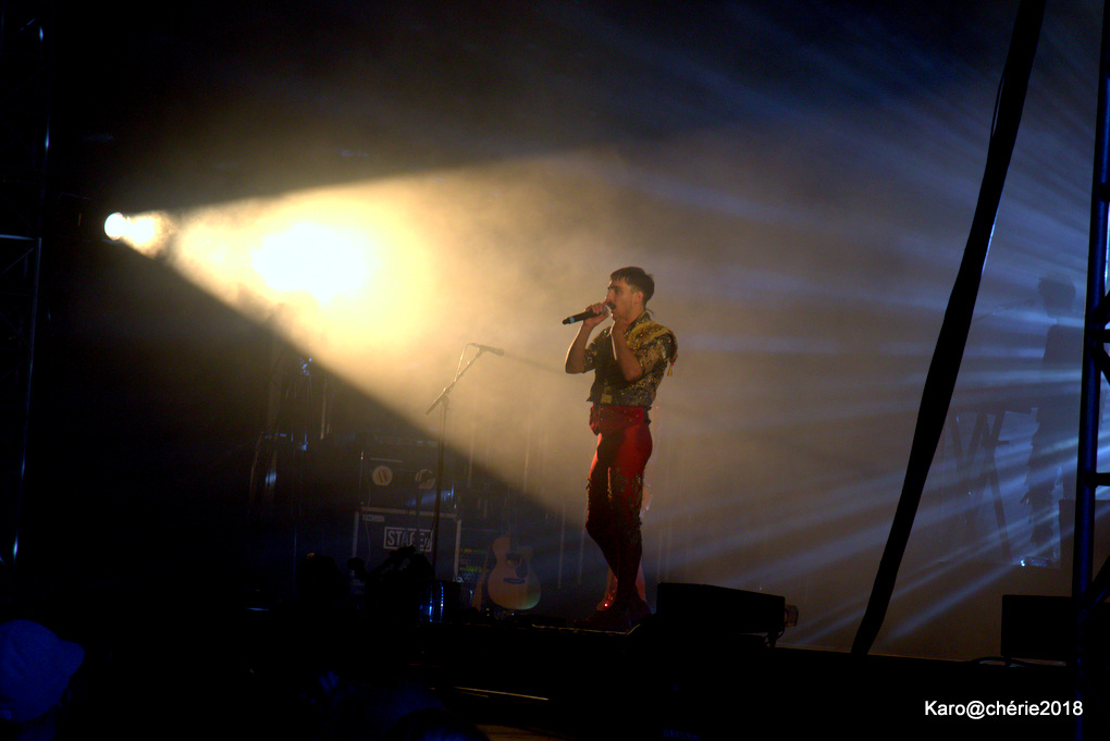 [RETOUR IMAGES] En avant Francofolies 2 !