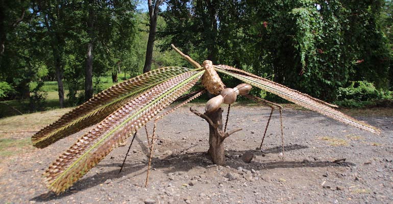 Retour en images sur le 10 ème anniversaire de La Réserve Naturelle de l’Étang Saint-Paul