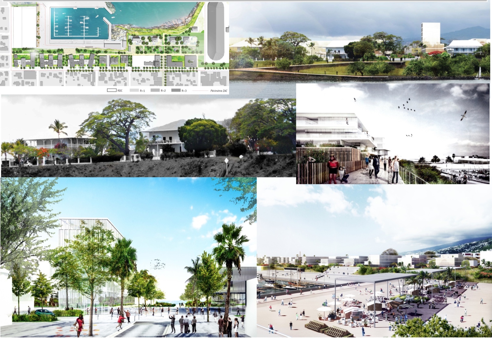 Plan Action coeur de ville : Les projets présentés par les quatre communes réunionnaises retenues