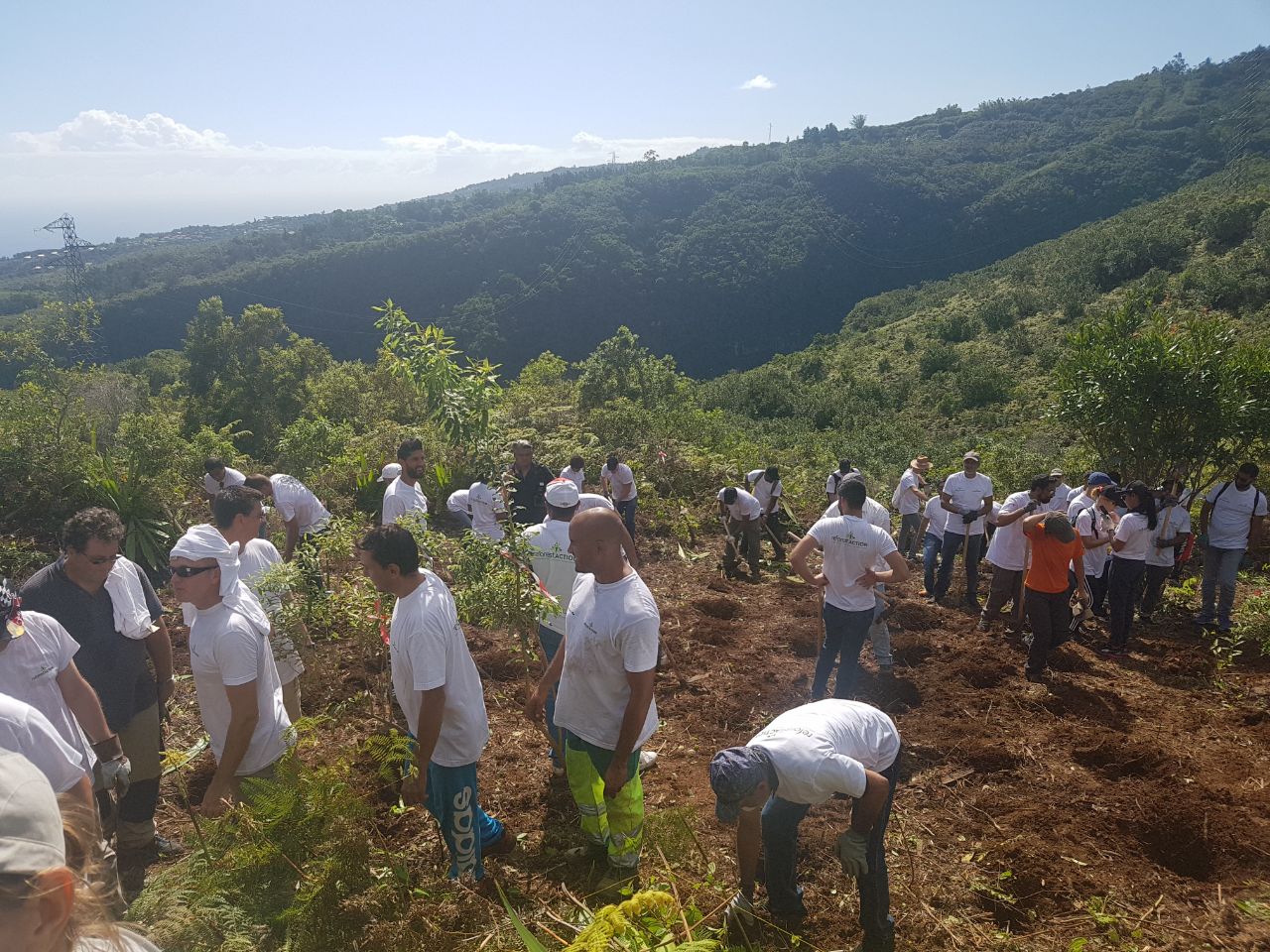 [PHOTOS] La famille Ravate contribue à la plantation de 10.000 arbres à la Grande chaloupe