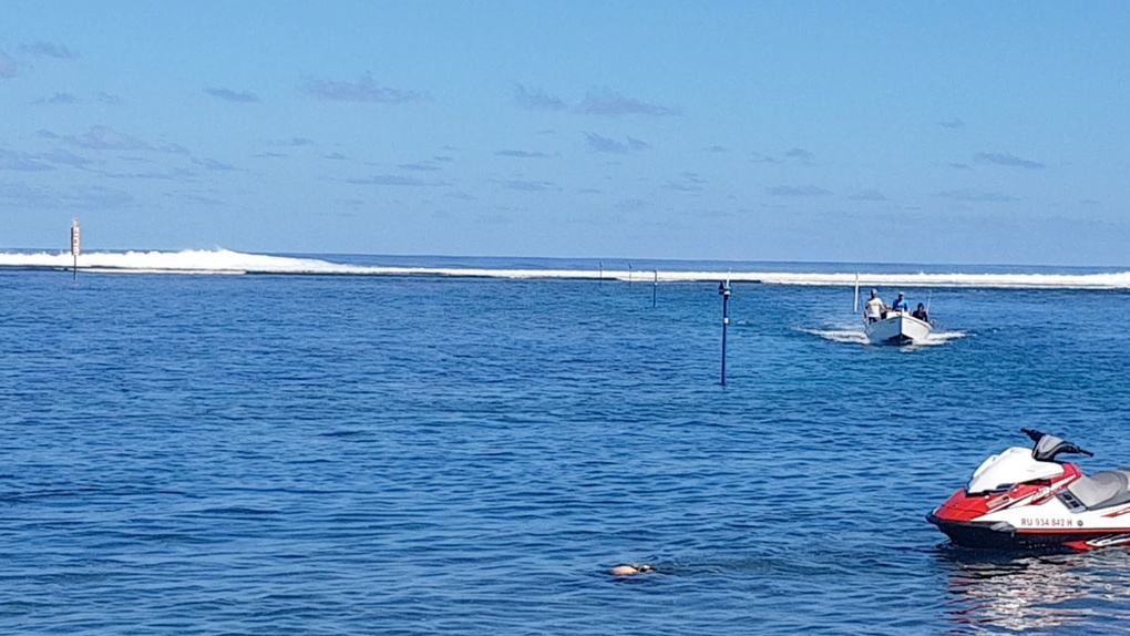 Une pêche préventive après l'observation d'un requin tigre à l'Etang-Salé