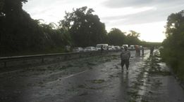 St-André: un arbre tombe sur un camion sur la 4 voies
