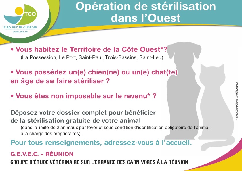 Stérilisation gratuite : maintenant pour les mâles (chiens et chats) aussi !