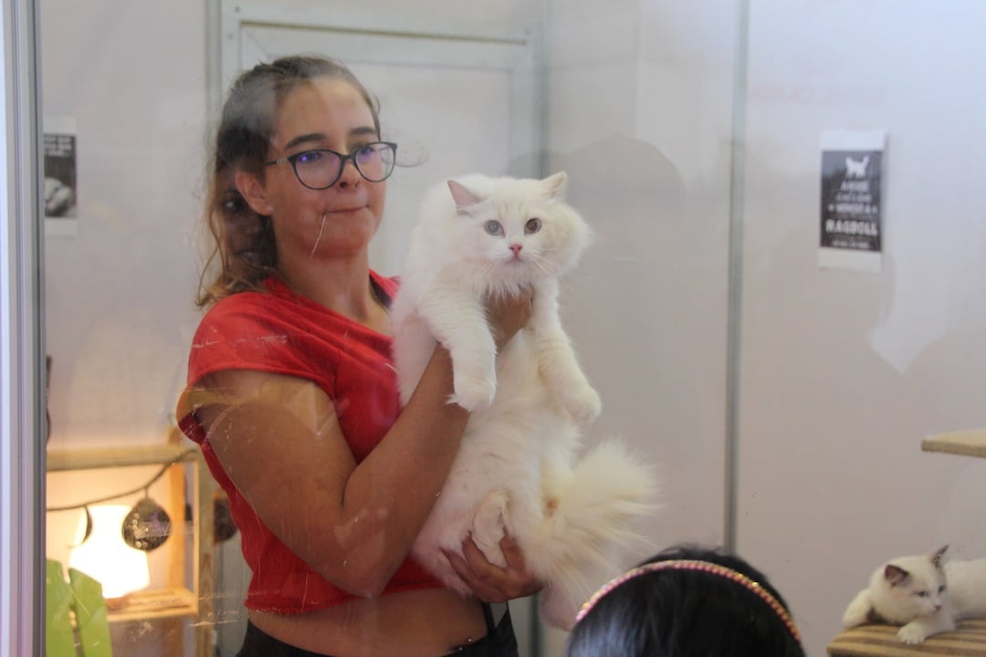 Salon Zanimos: c'est parti pour 3 jours!