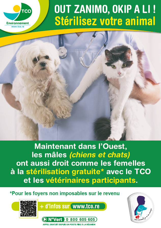 Campagne contre l’abandon des animaux : préparez votre départ !