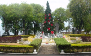 Le sapin de Noël de la Préfecture