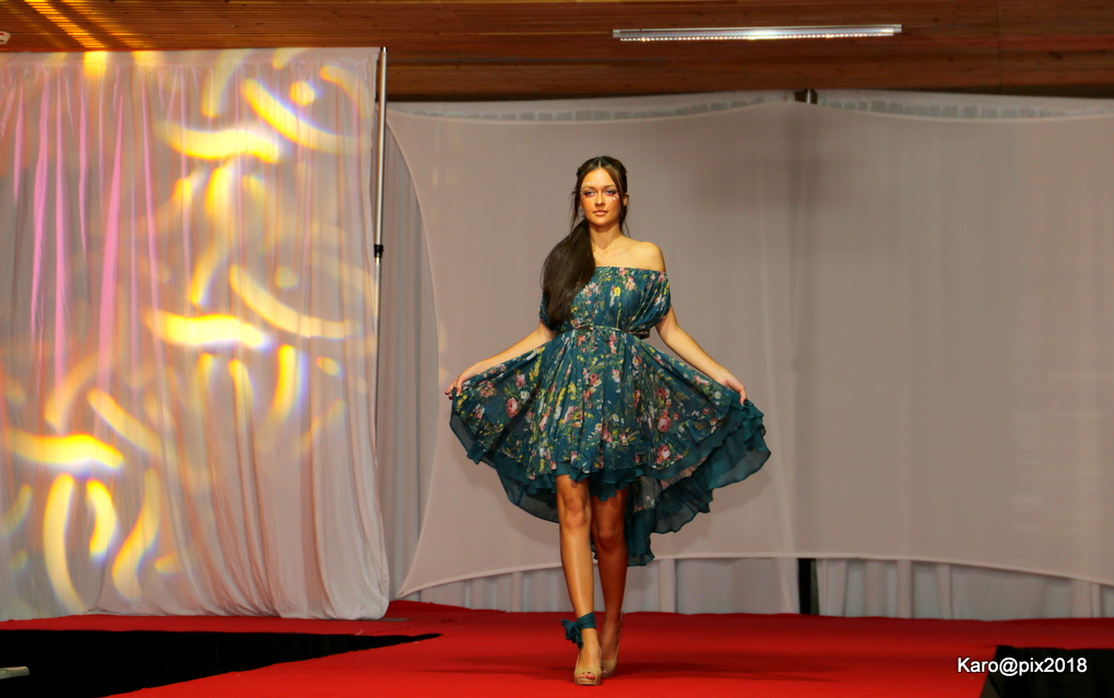 Fashion Show de l'ACH : Une vente aux enchères et un défilé de mode pour la bonne cause