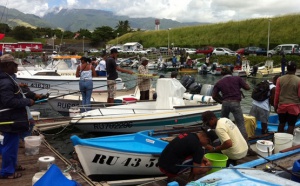 Port de Ste-Marie : Pêche cavale la monté
