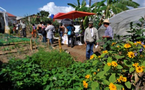 Retour en images sur la foire de Bras-Panon