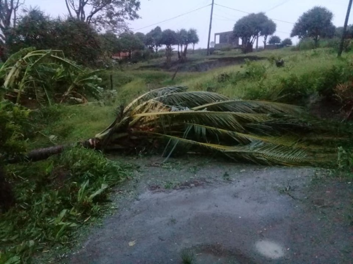 ?Rodrigues : Gelena fait d'important dégats avec des rafales à 165km/h