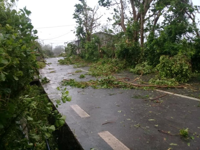 ?Rodrigues : Gelena fait d'important dégats avec des rafales à 165km/h