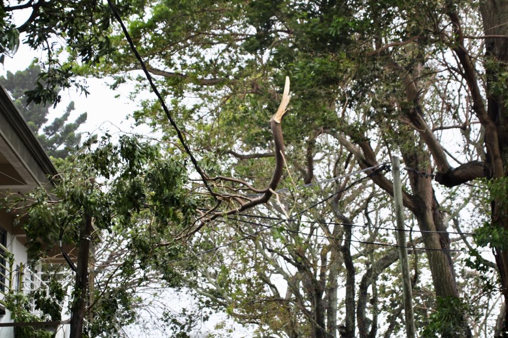 Rodrigues : 90% des foyers privés d'électricité après le passage de Gelena