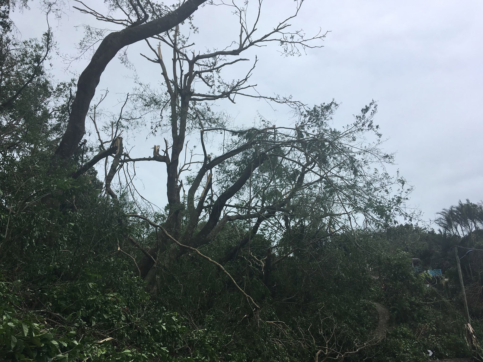 ? De nouvelles photos en provenance de Rodrigues après le cyclone Gelena
