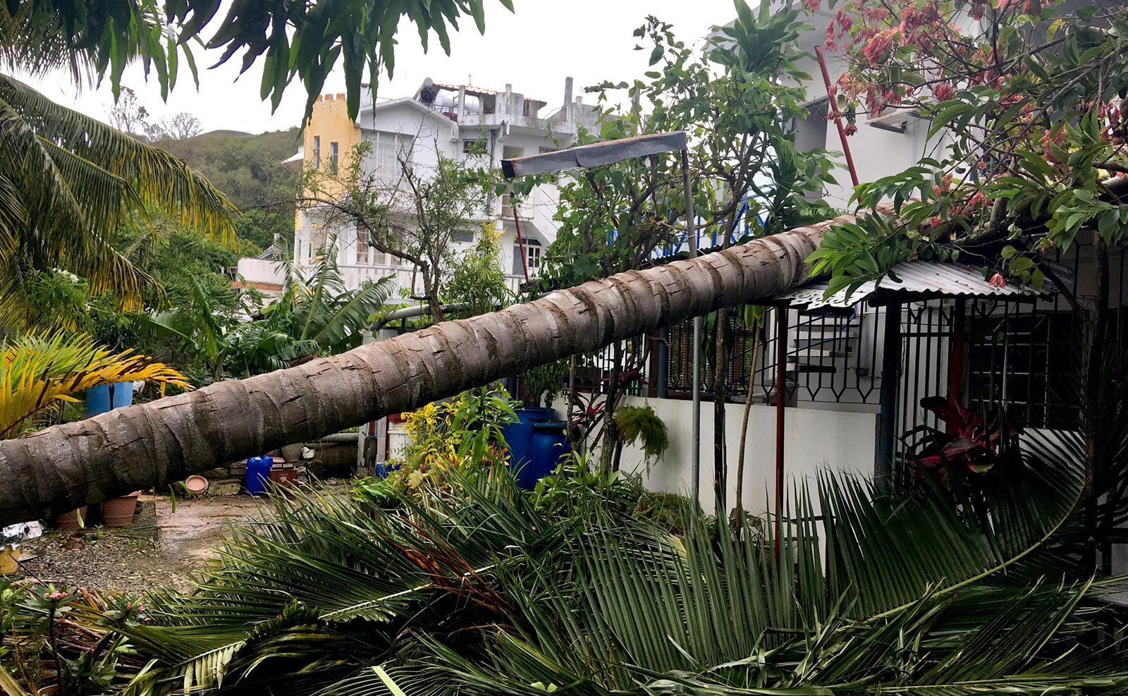 ? De nouvelles photos en provenance de Rodrigues après le cyclone Gelena