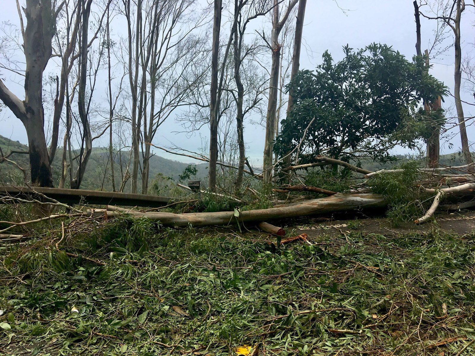 ? De nouvelles photos en provenance de Rodrigues après le cyclone Gelena