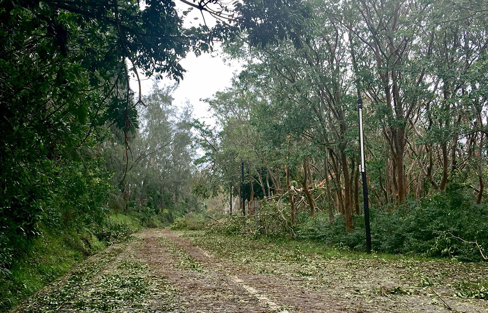 ? De nouvelles photos en provenance de Rodrigues après le cyclone Gelena